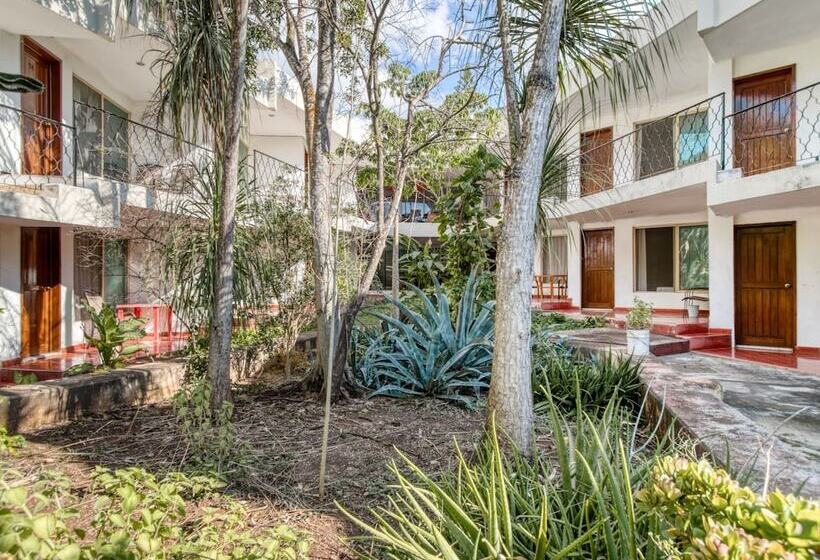 ホテル San Carlos