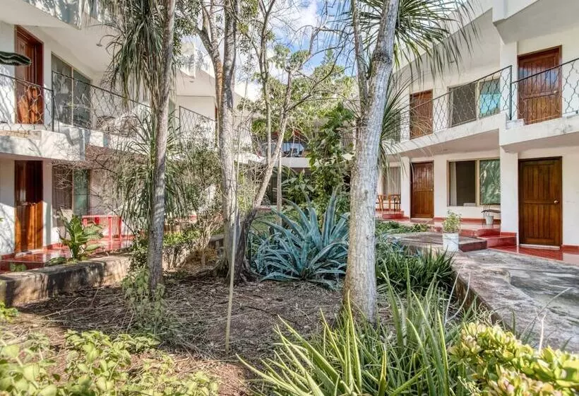 ホテル San Carlos