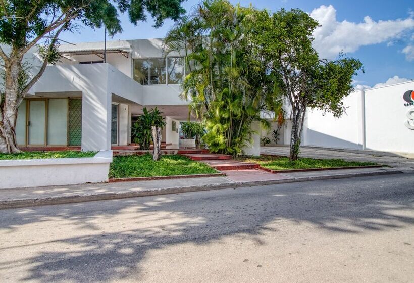 ホテル San Carlos