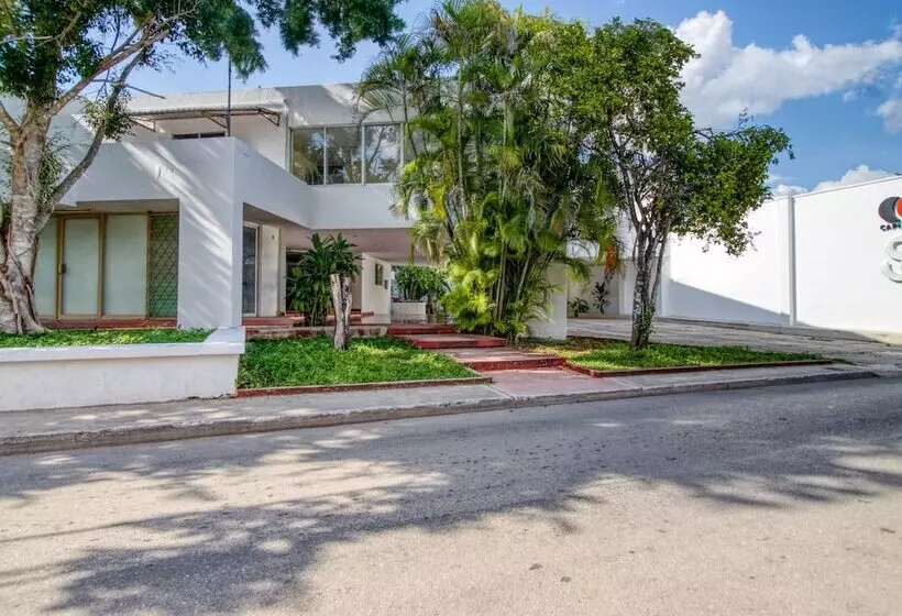 ホテル San Carlos