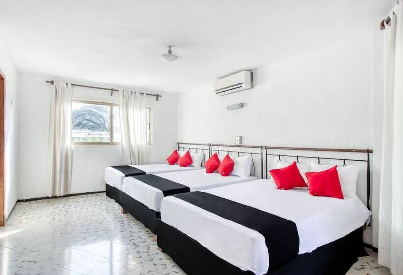 ホテル San Carlos