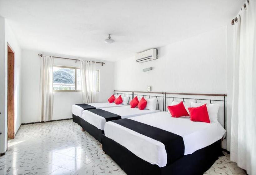 ホテル San Carlos