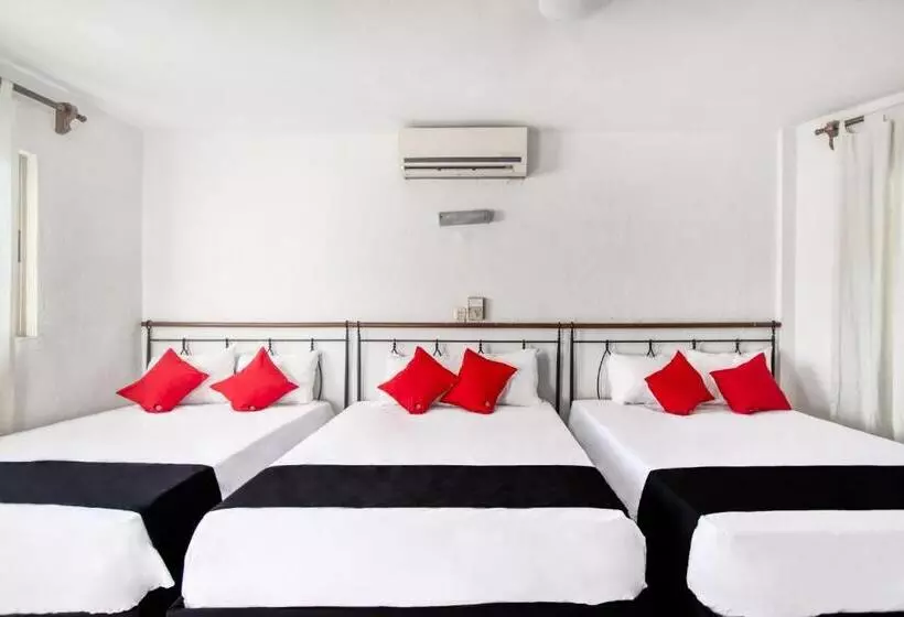 ホテル San Carlos