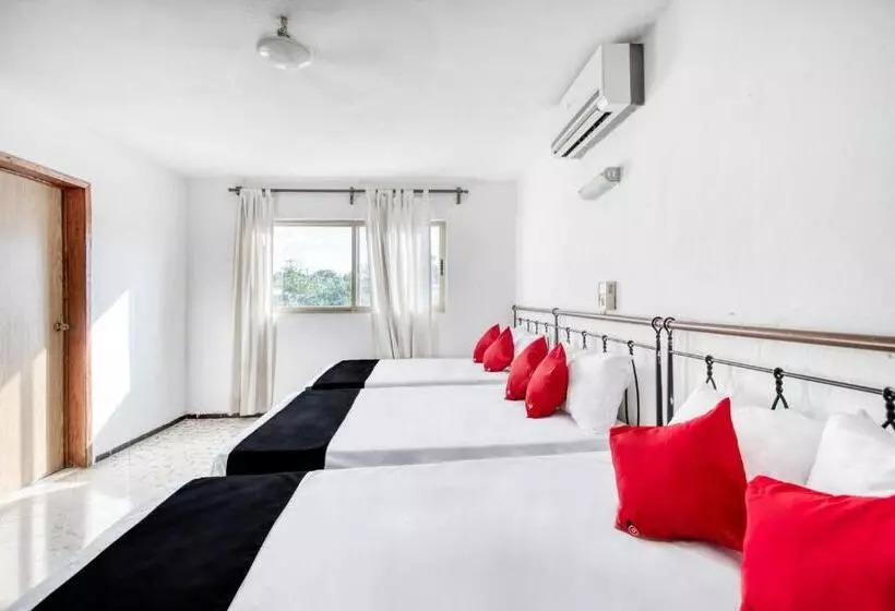 ホテル San Carlos