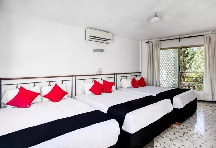 ホテル San Carlos