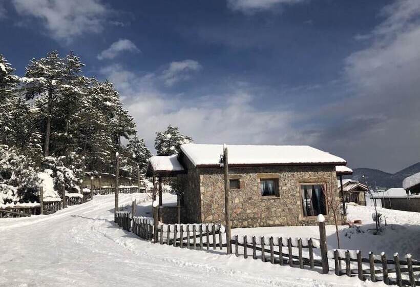 Hotel Cameli Tas Konaklar