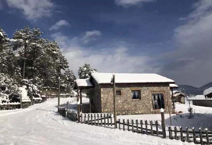 Hotelli Cameli Tas Konaklar