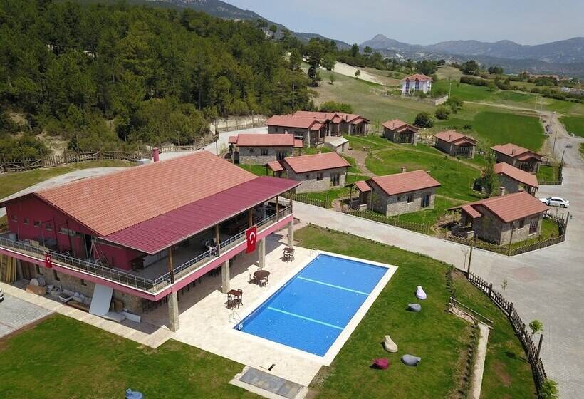 Hotel Cameli Tas Konaklar