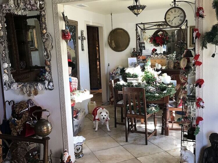 Always Inn San Clemente Bed & Breakfast By Elevate Rooms