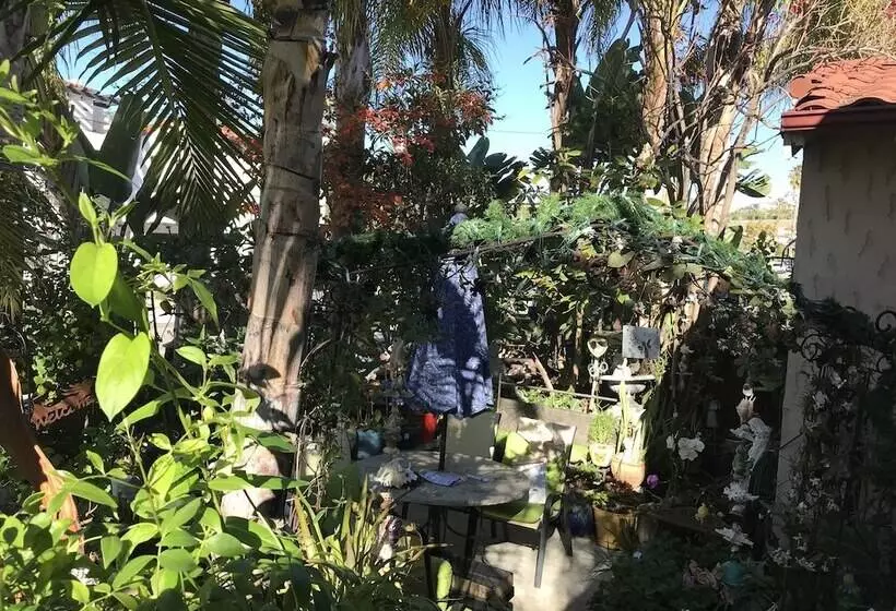 Always Inn San Clemente Bed & Breakfast By Elevate Rooms