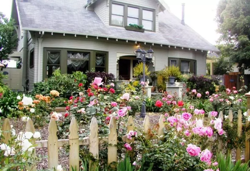 민박 A White Jasmine Inn