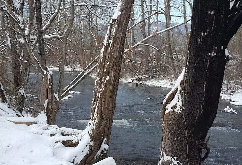 Aamiaismajoitus (B&B) Hummingbird Inn