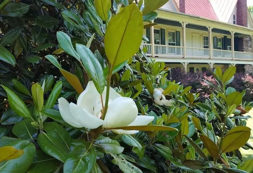 Aamiaismajoitus (B&B) Hummingbird Inn