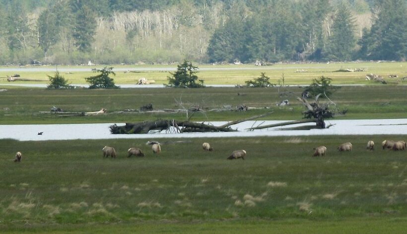 ベッドアンドブレックファースト Old Wheeler