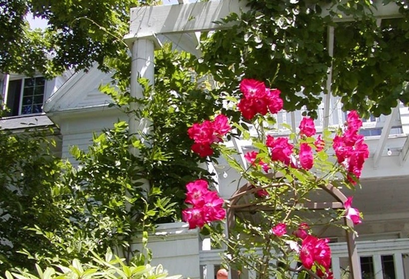 צימר The Inn On The Horse Farm