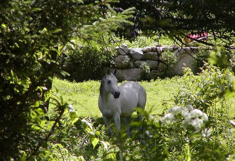 צימר The Inn On The Horse Farm