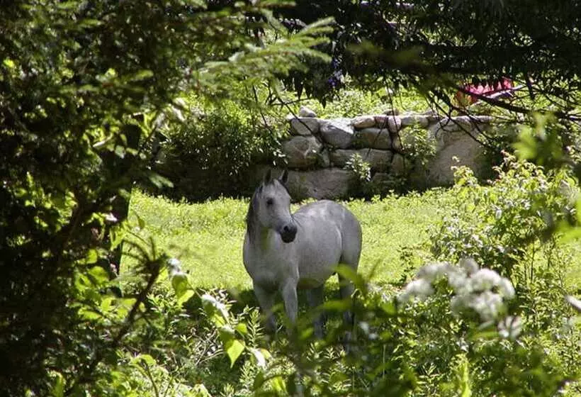 住宿加早餐 The Inn On The Horse Farm