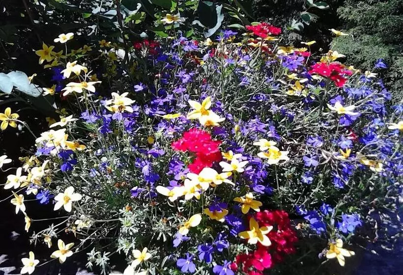 ベッドアンドブレックファースト Whistler's Inn