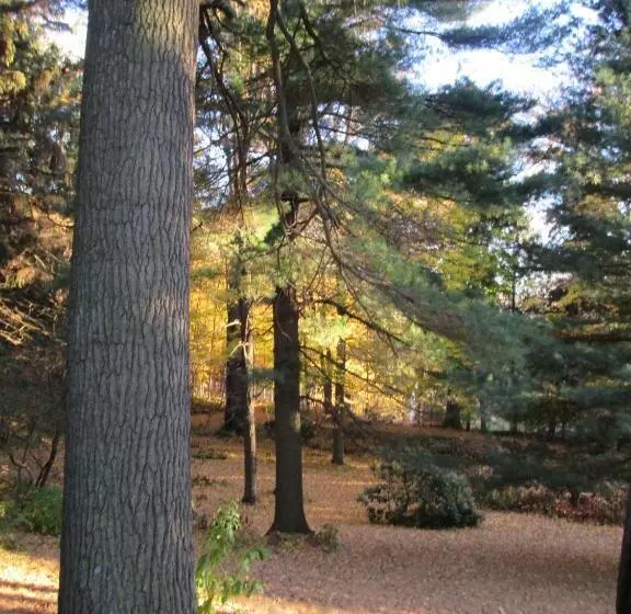 ベッドアンドブレックファースト Whistler's Inn