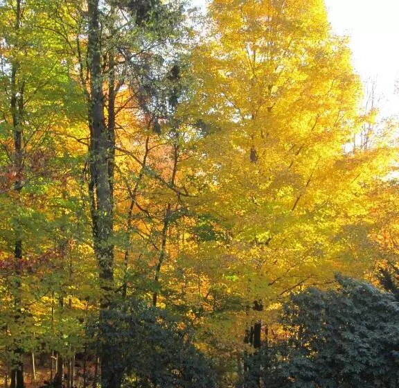 ベッドアンドブレックファースト Whistler's Inn