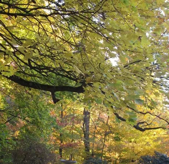 ベッドアンドブレックファースト Whistler's Inn