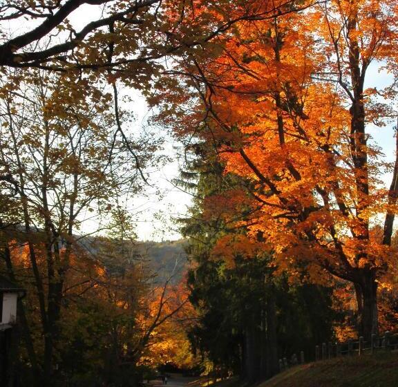 住宿加早餐  Whistler's Inn