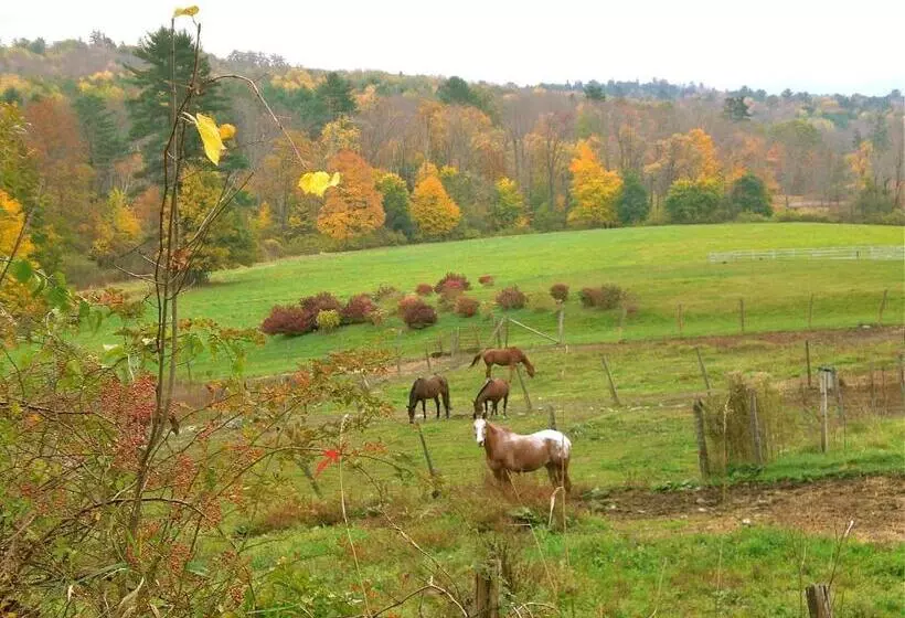 ベッドアンドブレックファースト Whistler's Inn