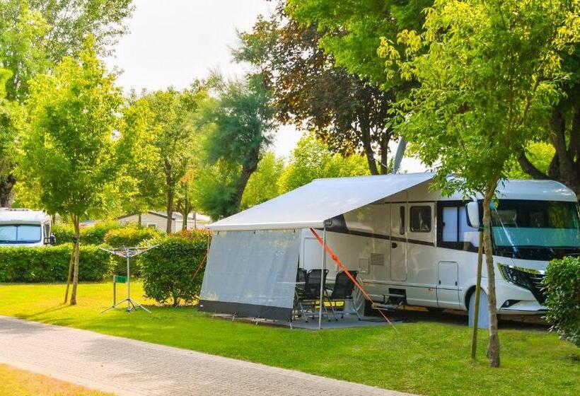 Отель Adria Holiday Pra  Delle Torri