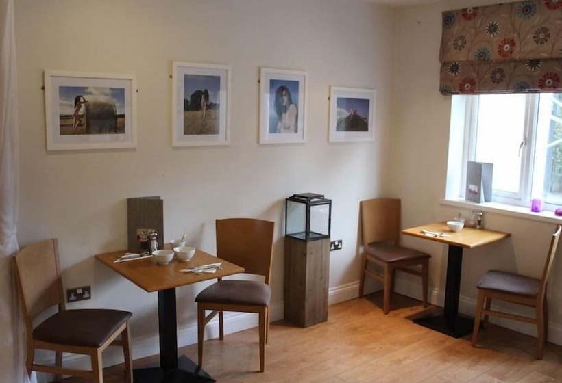 Hotel Clover Spa And