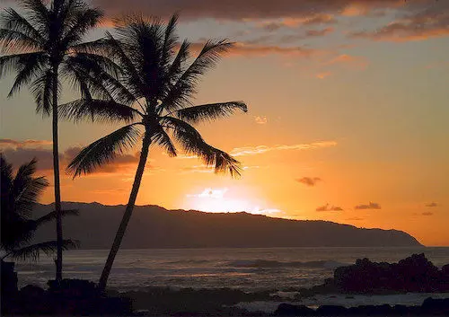 هتل Island Beach Comber