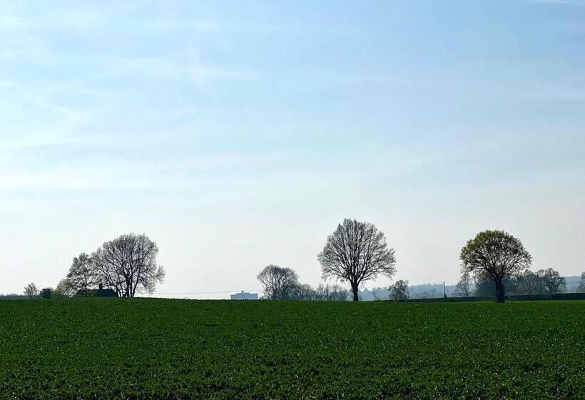 فندق Plumpton House