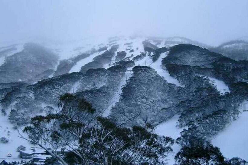 호텔 Winterhaus Lodge Thredbo Village