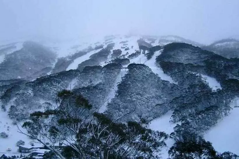 ホテル Winterhaus Lodge Thredbo Village