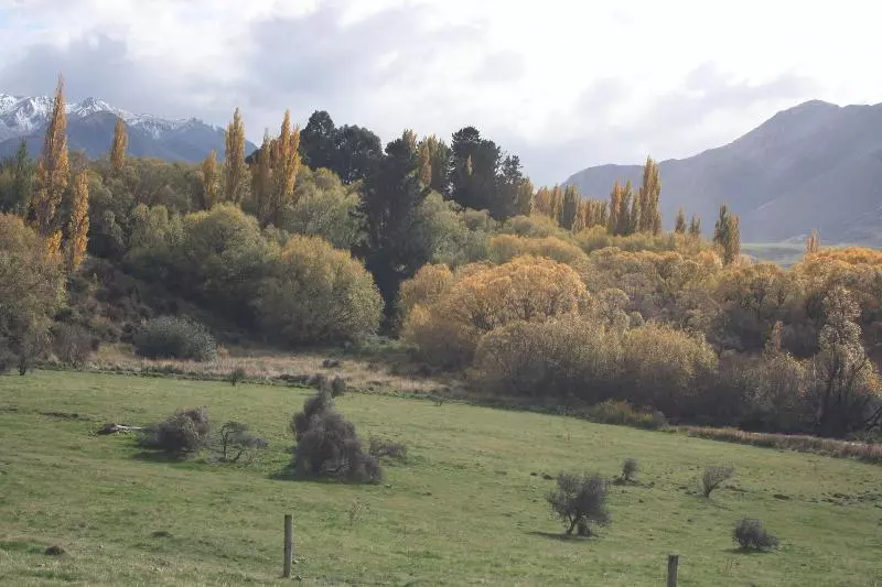 Methven Motel & Apartments