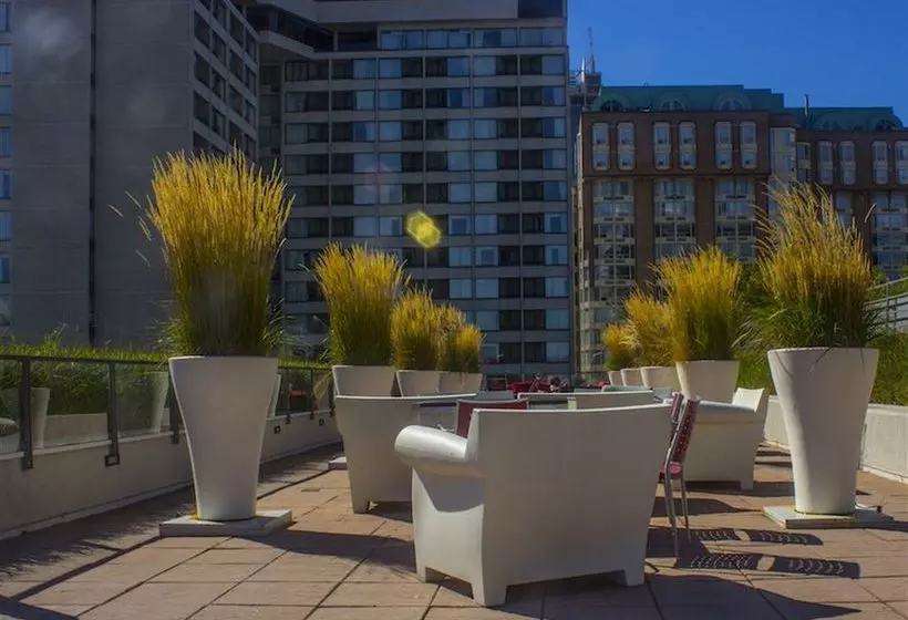 Toronto Escape The Sapphire Suite