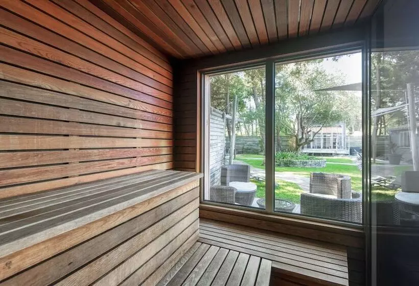 Hotel Elegance Suites