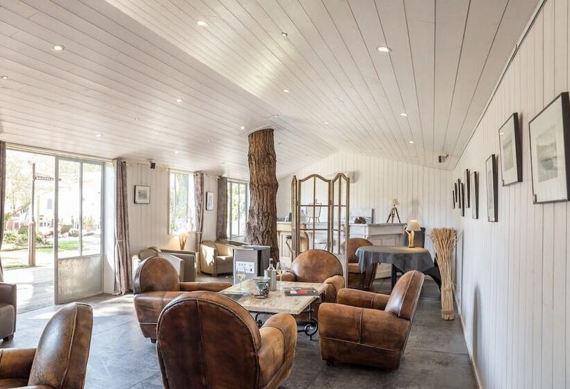 فندق Elegance Suites