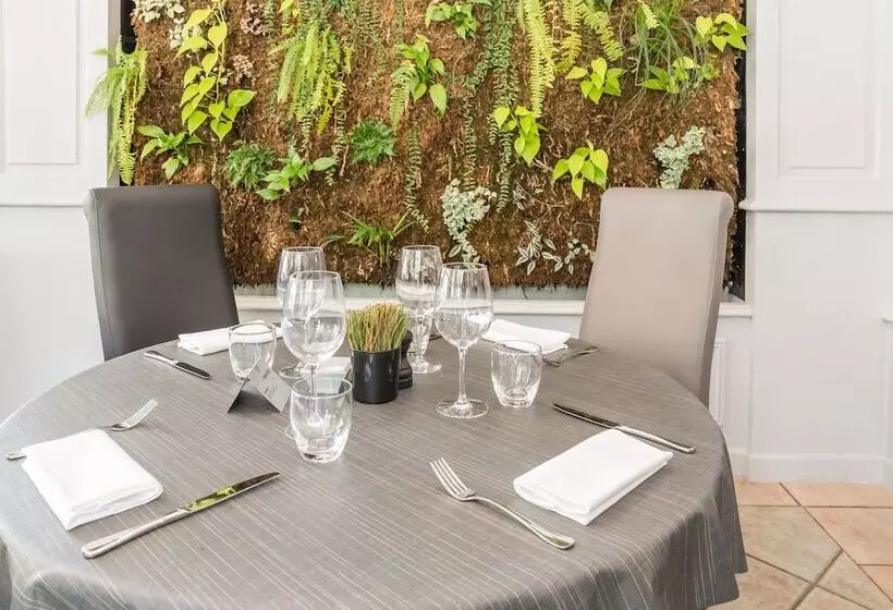 Hotel Elegance Suites