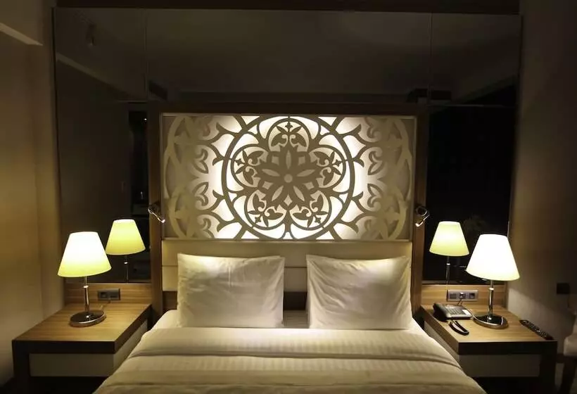 هتل Downtown Ankara