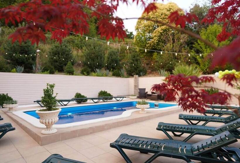 فندق Papaya Park