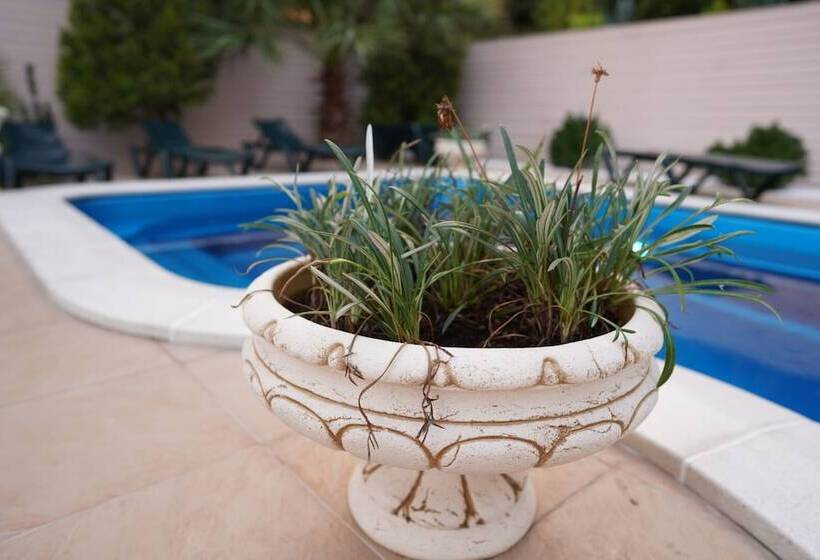 فندق Papaya Park