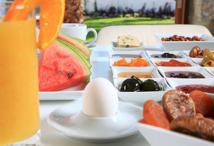 酒店 Saraya Bodrum