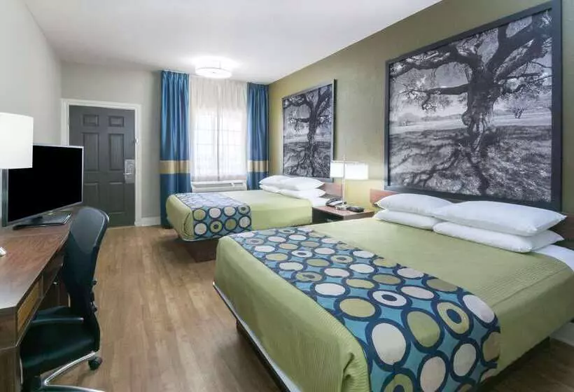 モーテル Super 8 By Wyndham San Antonio Near Fort Sam Houston