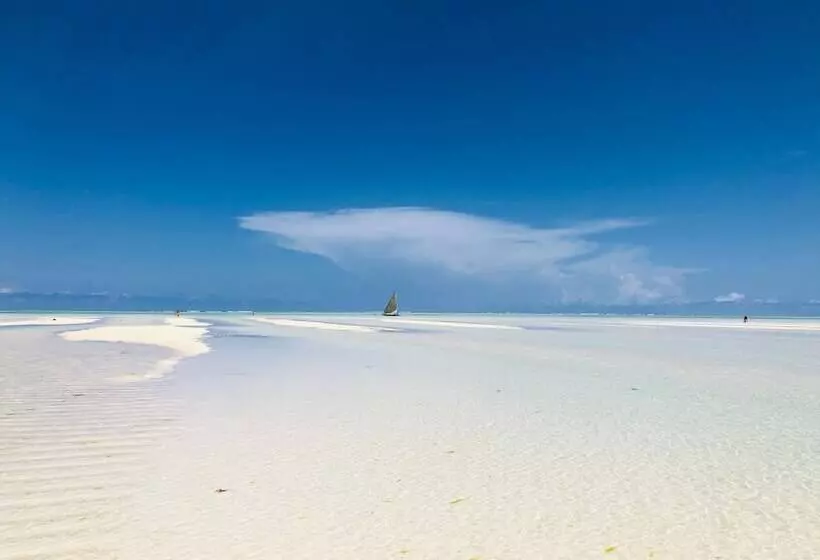 Mvuvi Boutique Resort