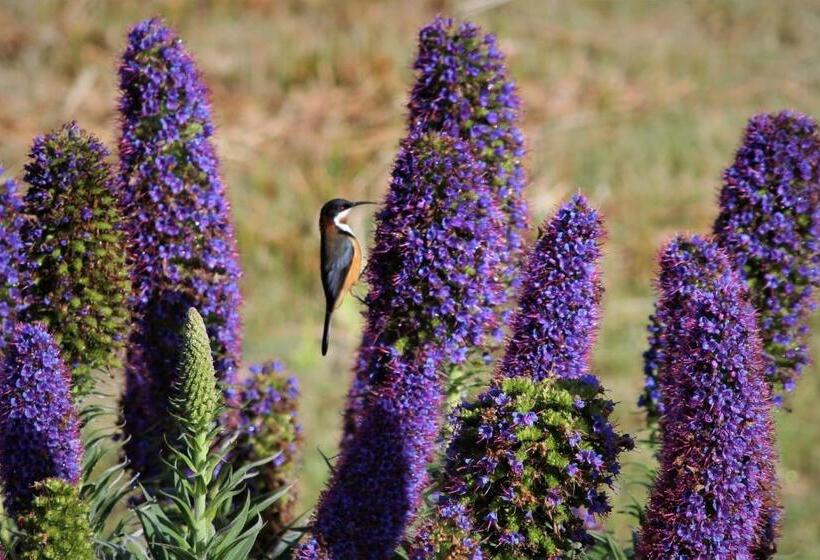 膳宿费 Storm Bay B & B