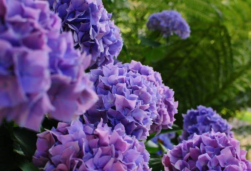 The Crays Accommodation