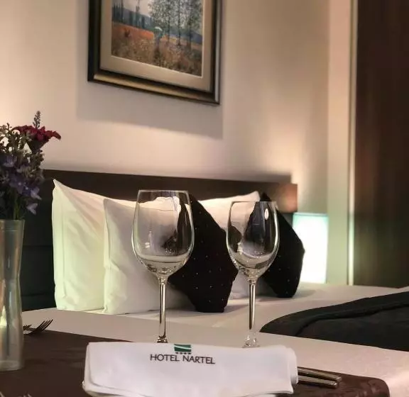 酒店 Nartel