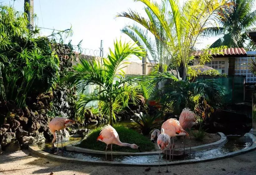 Otel Pousada Sol E Mar