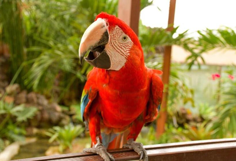 호텔 Pousada Sol E Mar