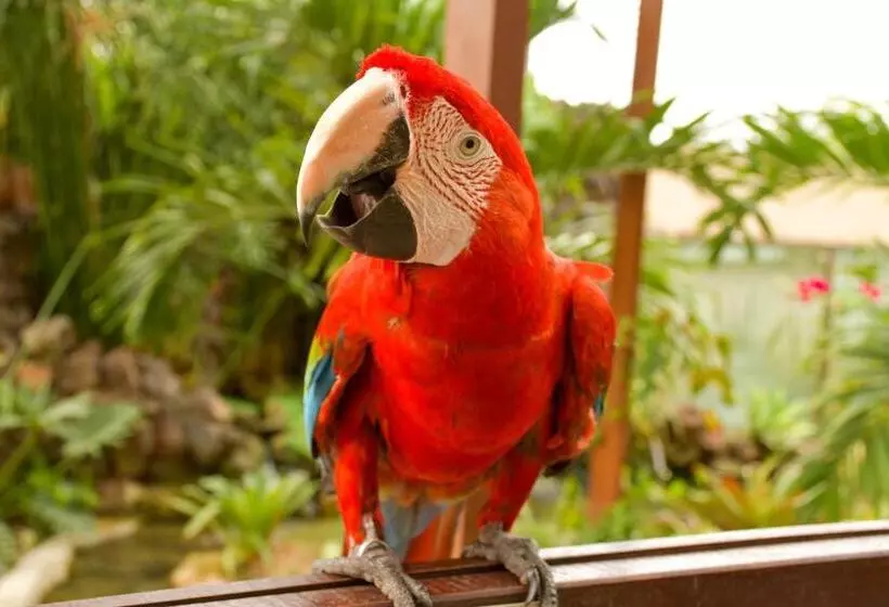 Otel Pousada Sol E Mar